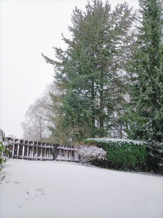 Bergfreude Chalet Braunlage Exteriör bild